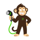 EV Monkey